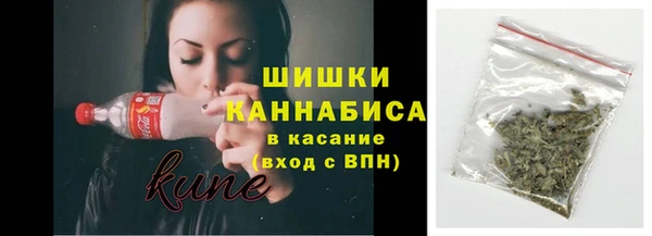 мдпв Галич