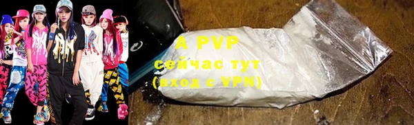 мдпв Галич