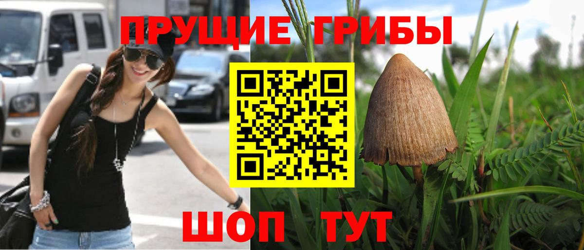 Галлюциногенные грибы мицелий Лабинск