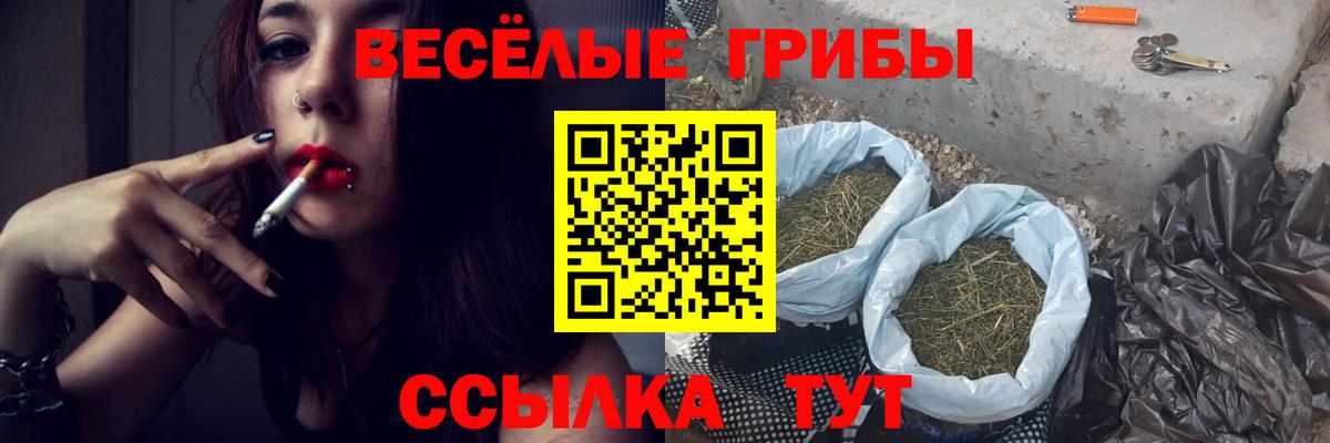 что такое наркотик  Вход с VPN  Лабинск  Галлюциногенные грибы Magic Shrooms 